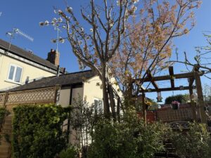 Victoria Cottages, Shipston Road, Stratford Upon Avon, CV37 7LN
